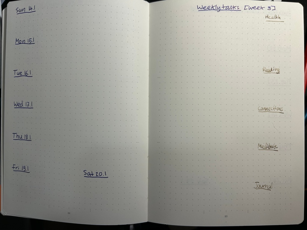 Iconic 2024 Doodle Dated Weekly Planner Diary